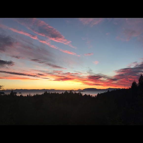 Meet your Posher, Troy - Picture 2 of 2